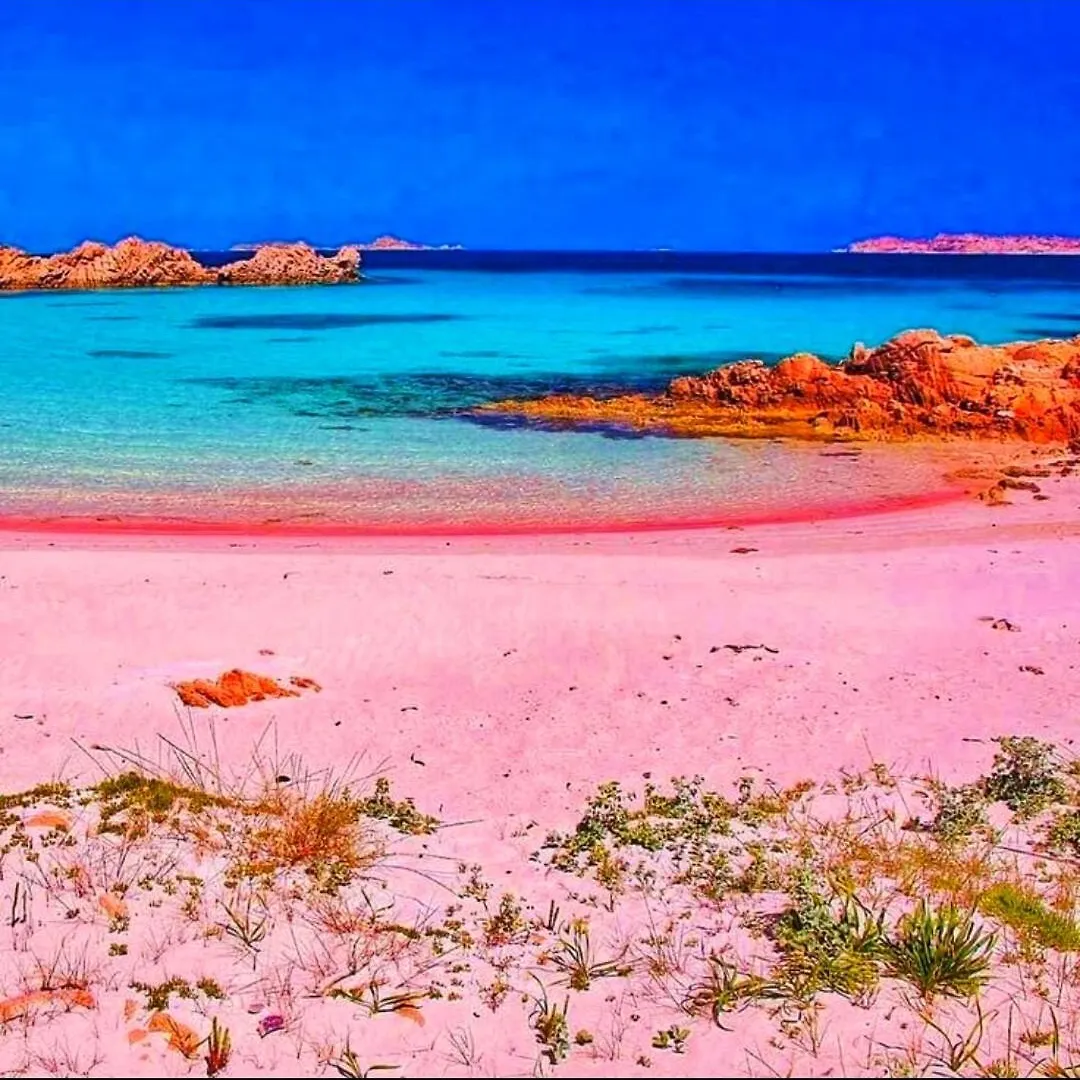 Casa Vacanze Gardenia La Maddalena Con Parcheggio Privato La Maddalena (Sassari)